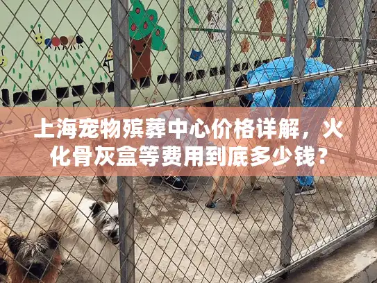 上海宠物殡葬中心价格详解，火化骨灰盒等费用到底多少钱？