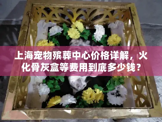上海宠物殡葬中心价格详解，火化骨灰盒等费用到底多少钱？