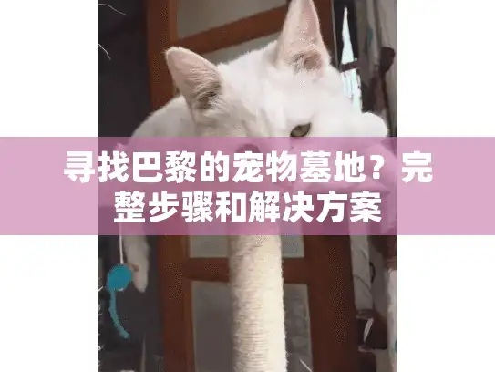 寻找巴黎的宠物墓地？完整步骤和解决方案