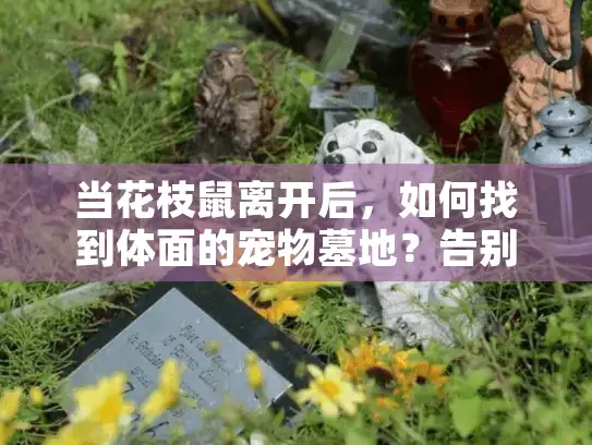 当花枝鼠离开后，如何找到体面的宠物墓地？告别时的迷茫与解决之道