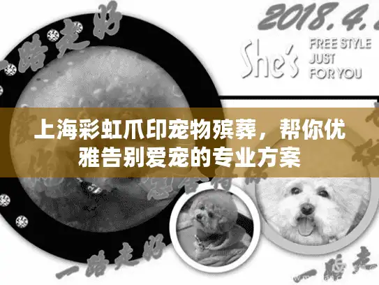 上海彩虹爪印宠物殡葬，帮你优雅告别爱宠的专业方案