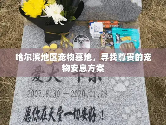 哈尔滨地区宠物墓地，寻找尊贵的宠物安息方案