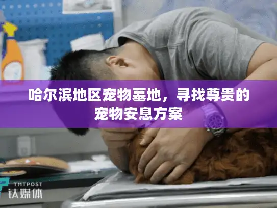 哈尔滨地区宠物墓地，寻找尊贵的宠物安息方案