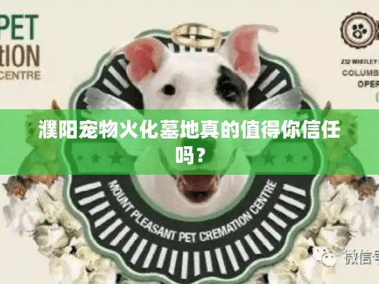 濮阳宠物火化墓地真的值得你信任吗？