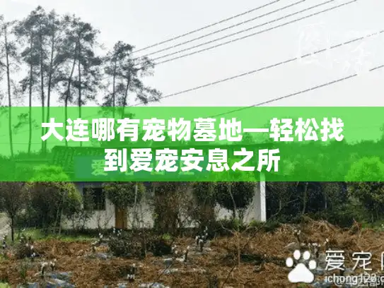 大连哪有宠物墓地—轻松找到爱宠安息之所
