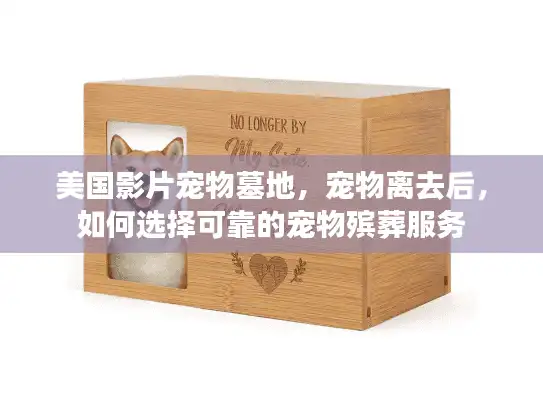 美国影片宠物墓地，宠物离去后，如何选择可靠的宠物殡葬服务