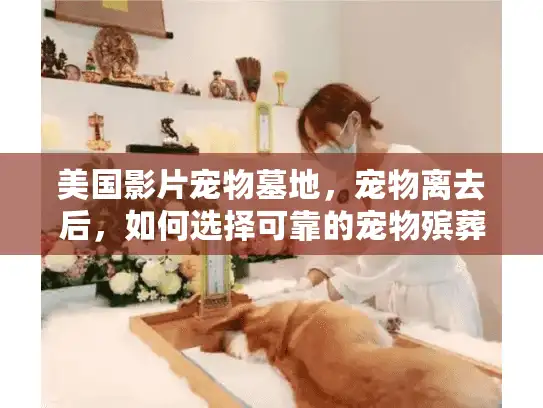 美国影片宠物墓地，宠物离去后，如何选择可靠的宠物殡葬服务
