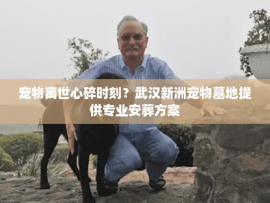 宠物离世心碎时刻？武汉新洲宠物墓地提供专业安葬方案