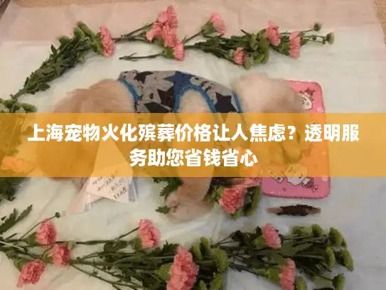上海宠物火化殡葬价格让人焦虑？透明服务助您省钱省心
