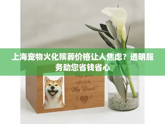 上海宠物火化殡葬价格让人焦虑？透明服务助您省钱省心