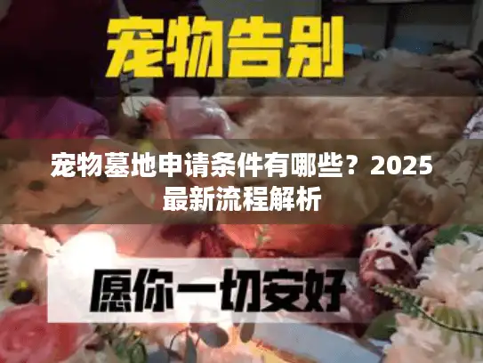 宠物墓地申请条件有哪些？2025最新流程解析