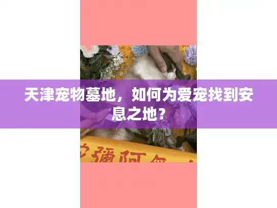 天津宠物墓地，如何为爱宠找到安息之地？