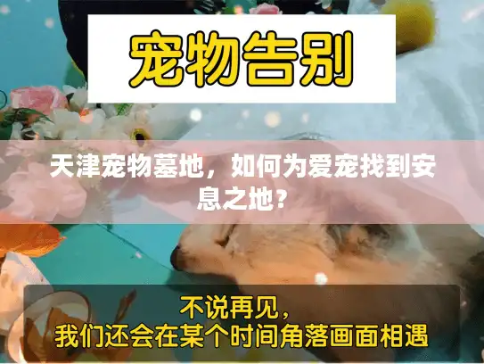 天津宠物墓地，如何为爱宠找到安息之地？