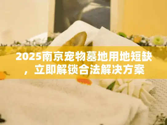 2025南京宠物墓地用地短缺，立即解锁合法解决方案