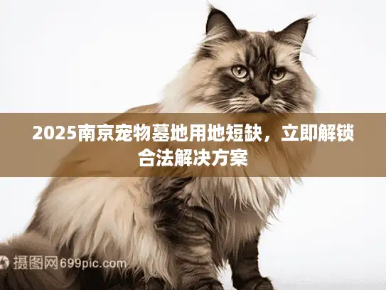 2025南京宠物墓地用地短缺，立即解锁合法解决方案
