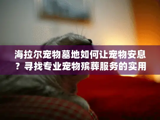 海拉尔宠物墓地如何让宠物安息？寻找专业宠物殡葬服务的实用指南