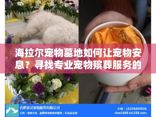 海拉尔宠物墓地如何让宠物安息？寻找专业宠物殡葬服务的实用指南
