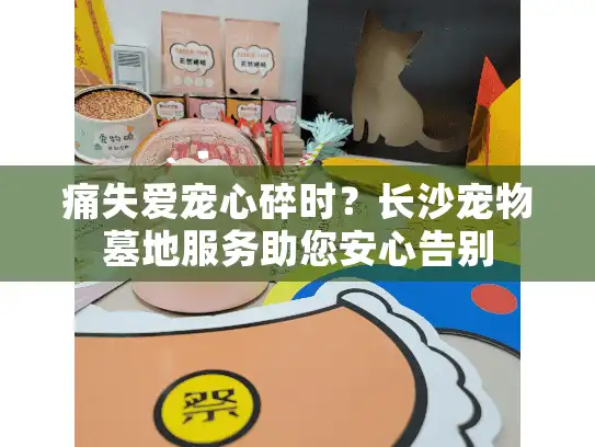 痛失爱宠心碎时？长沙宠物墓地服务助您安心告别
