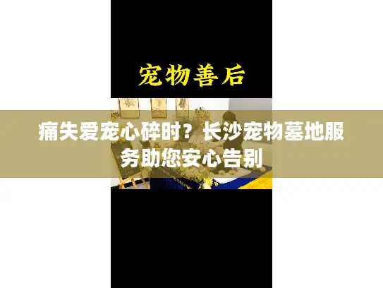 痛失爱宠心碎时？长沙宠物墓地服务助您安心告别