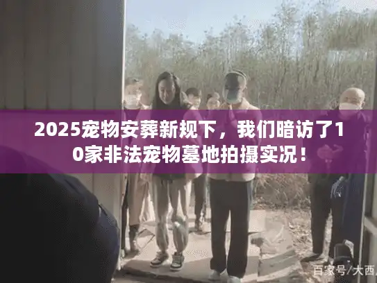 2025宠物安葬新规下，我们暗访了10家非法宠物墓地拍摄实况！
