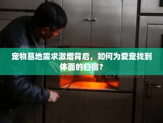 宠物墓地需求激增背后，如何为爱宠找到体面的归宿？