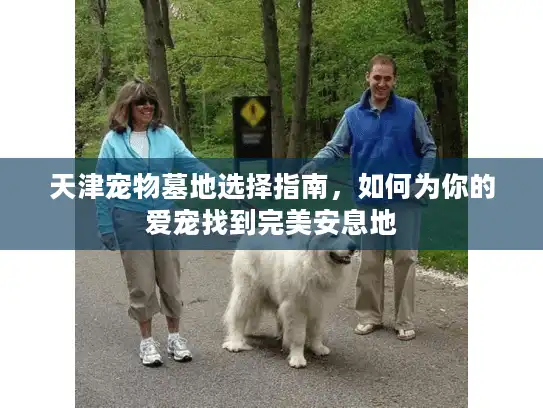 天津宠物墓地选择指南，如何为你的爱宠找到完美安息地