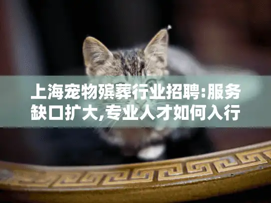 上海宠物殡葬行业招聘:服务缺口扩大,专业人才如何入行?