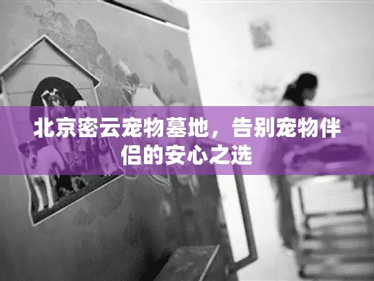 北京密云宠物墓地，告别宠物伴侣的安心之选