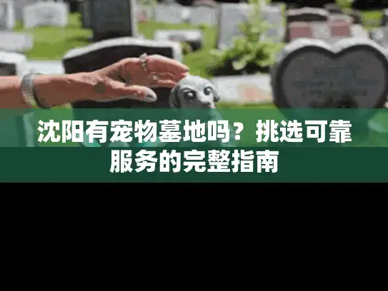 沈阳有宠物墓地吗？挑选可靠服务的完整指南