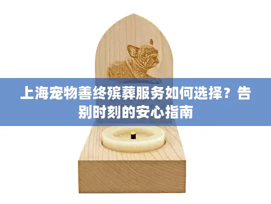 上海宠物善终殡葬服务如何选择？告别时刻的安心指南