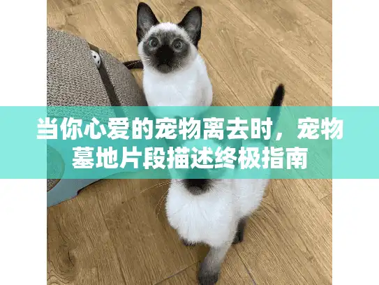当你心爱的宠物离去时，宠物墓地片段描述终极指南