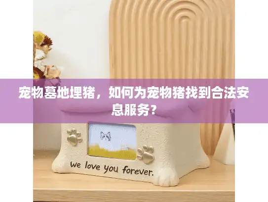 宠物墓地埋猪，如何为宠物猪找到合法安息服务？