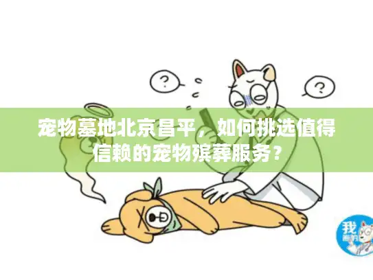 宠物墓地北京昌平，如何挑选值得信赖的宠物殡葬服务？