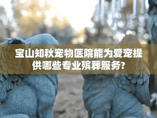 宝山知秋宠物医院能为爱宠提供哪些专业殡葬服务?