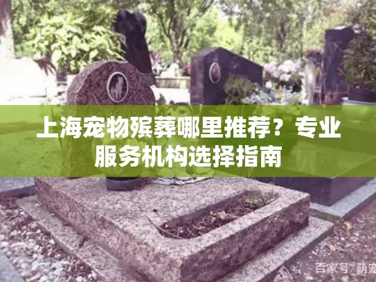上海宠物殡葬哪里推荐？专业服务机构选择指南