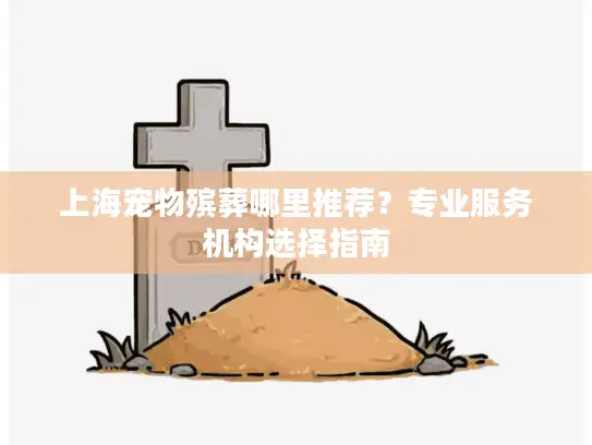 上海宠物殡葬哪里推荐？专业服务机构选择指南