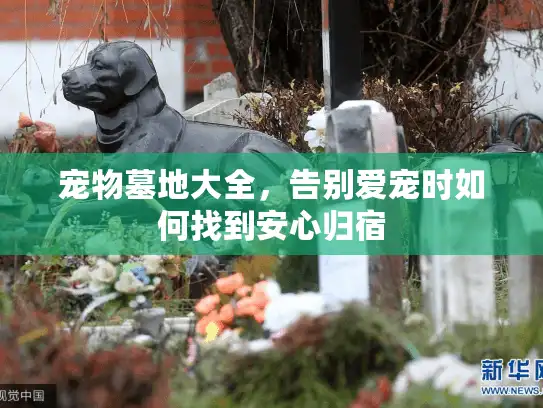 宠物墓地大全，告别爱宠时如何找到安心归宿