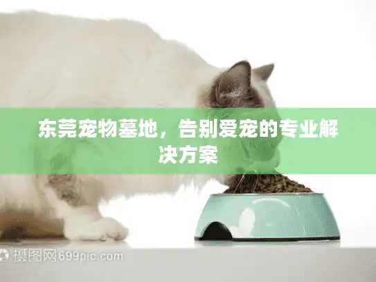 东莞宠物墓地，告别爱宠的专业解决方案