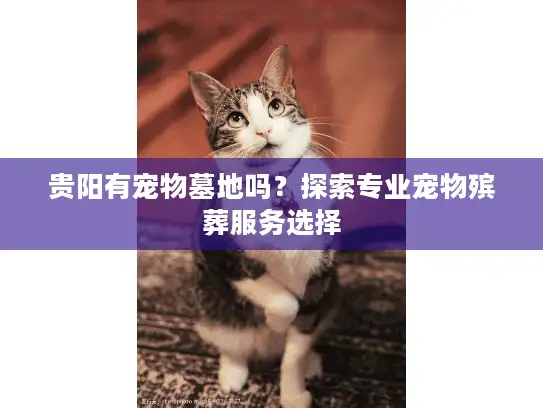贵阳有宠物墓地吗？探索专业宠物殡葬服务选择
