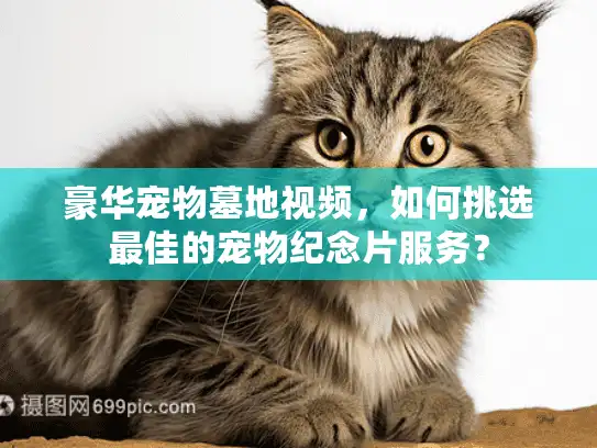 豪华宠物墓地视频，如何挑选最佳的宠物纪念片服务？