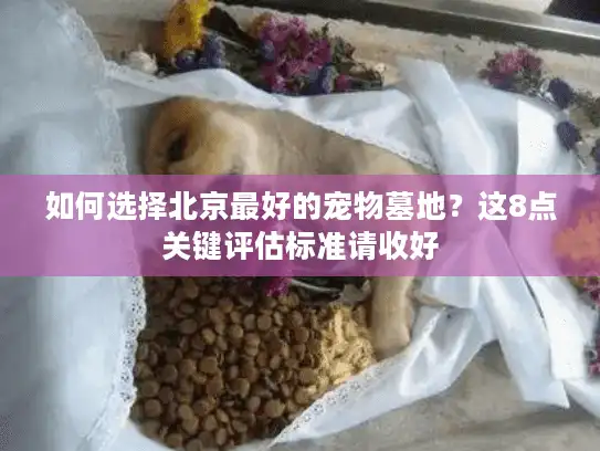 如何选择北京最好的宠物墓地？这8点关键评估标准请收好