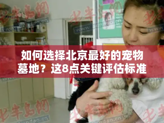 如何选择北京最好的宠物墓地？这8点关键评估标准请收好