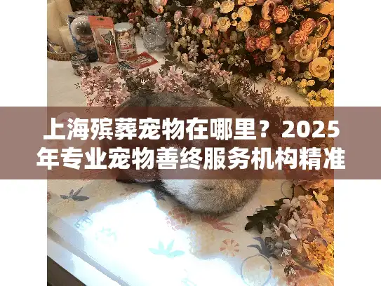 上海殡葬宠物在哪里？2025年专业宠物善终服务机构精准推荐