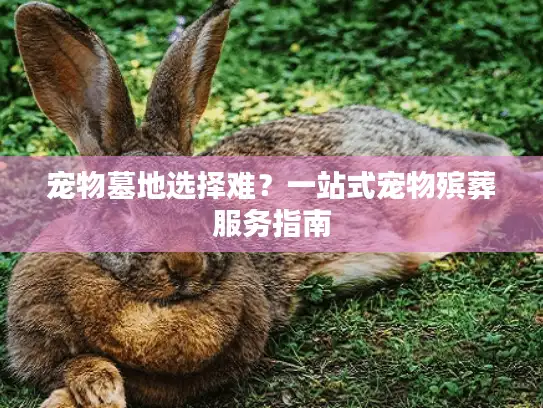 宠物墓地选择难？一站式宠物殡葬服务指南