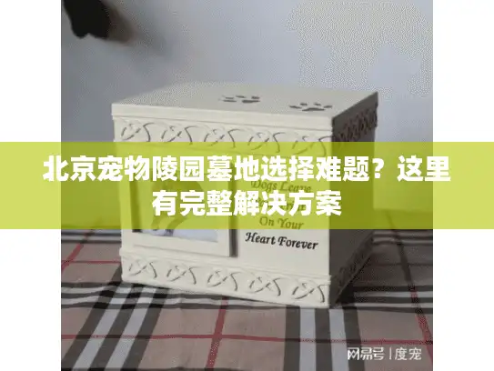 北京宠物陵园墓地选择难题？这里有完整解决方案