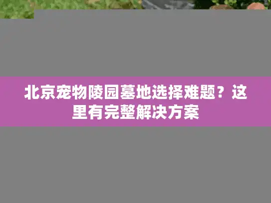北京宠物陵园墓地选择难题？这里有完整解决方案