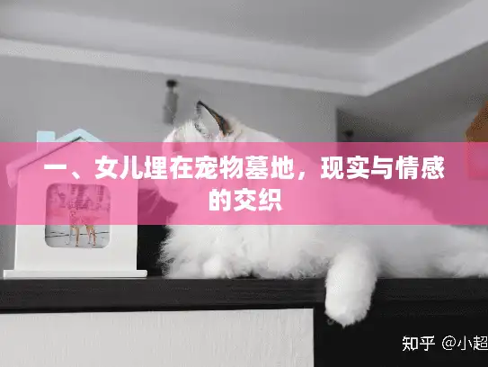 一、女儿埋在宠物墓地，现实与情感的交织