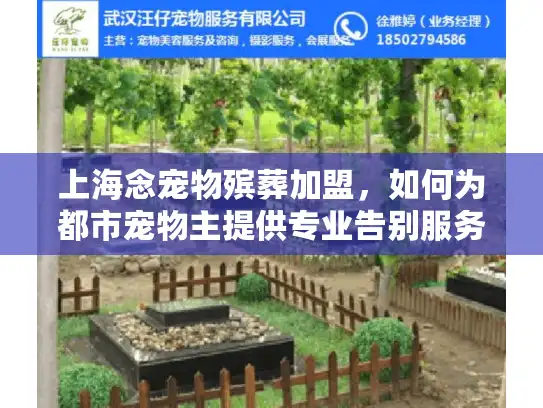 上海念宠物殡葬加盟，如何为都市宠物主提供专业告别服务？