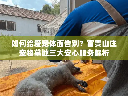 如何给爱宠体面告别？富贵山庄宠物墓地三大安心服务解析