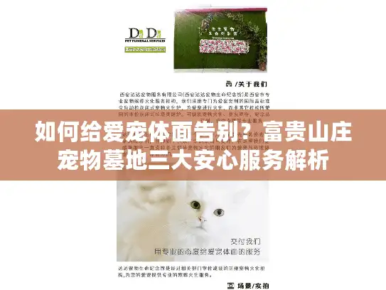 如何给爱宠体面告别？富贵山庄宠物墓地三大安心服务解析